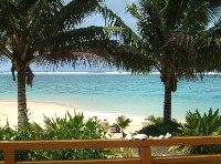Palm Grove resort